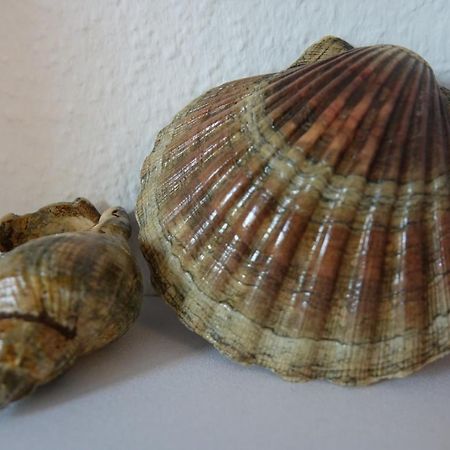 Ferienwohnung Kiel Buitenkant foto